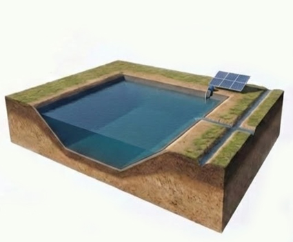 Community Farm Pond